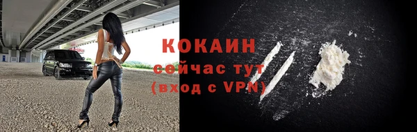 индика Белоозёрский