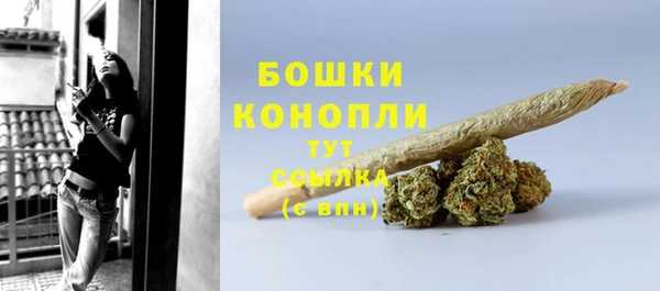 индика Белоозёрский