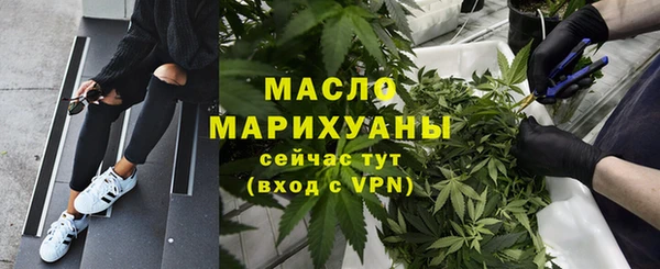 индика Белоозёрский