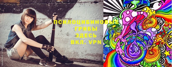 индика Белоозёрский