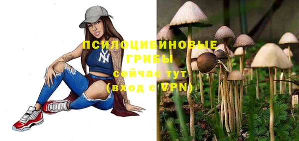 индика Белоозёрский