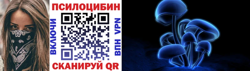 мега как войти  Славгород  Псилоцибиновые грибы прущие грибы  даркнет сайт 